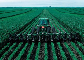 large_2007-01-14_152623_maiz-soja