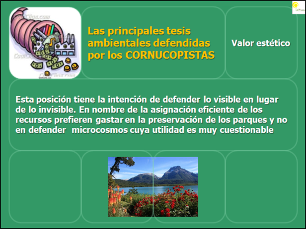 perfil cornucopista12