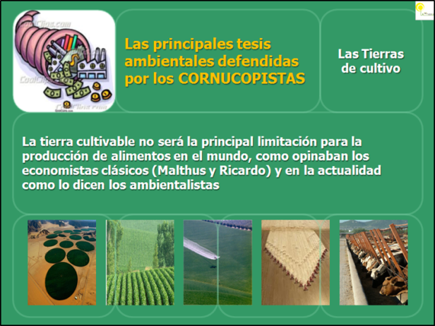 perfil cornucopista7