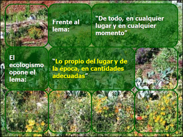 AGROECOLOGIA