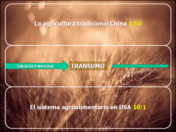 sistema agro49