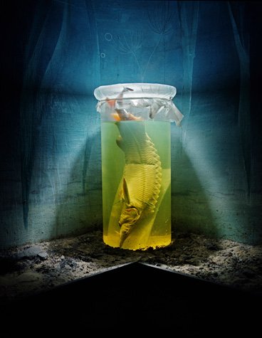 antropoceno05_368x475