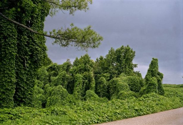 antropoceno09_714x486