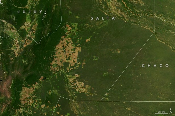 granchaco SALTA 2000